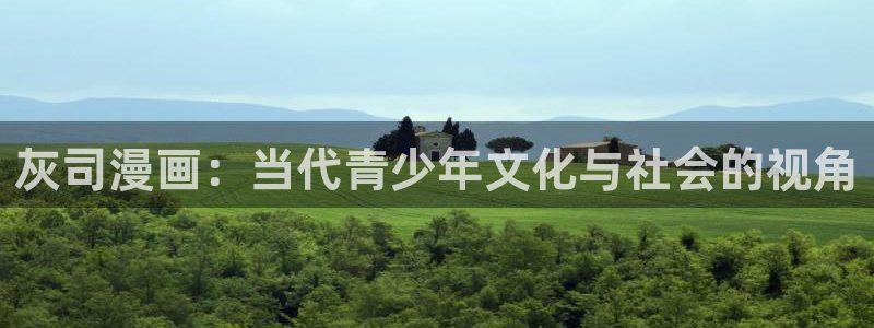 包子漫画正版包子漫画在线观看 漫画：灰司漫画：当代青少年文化与社会的视角